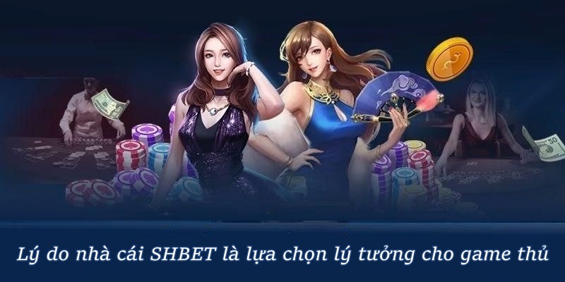 Lý do nhà cái SHBET là lựa chọn lý tưởng cho game thủ